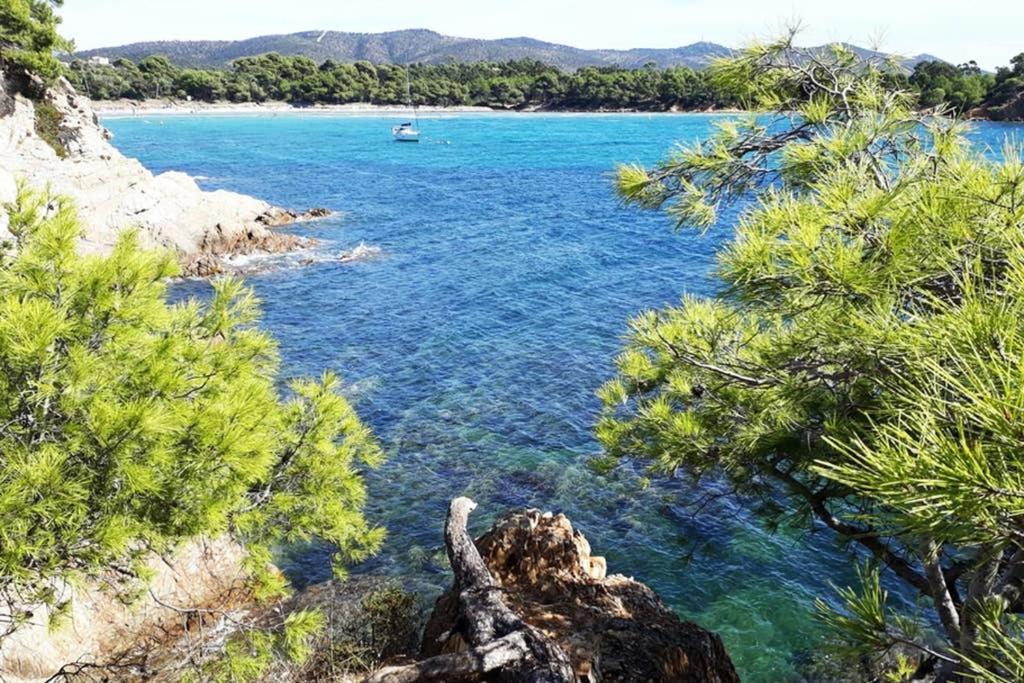 T2 Clim Parking, Entre Nature Et Plage Hyères Exteriör bild